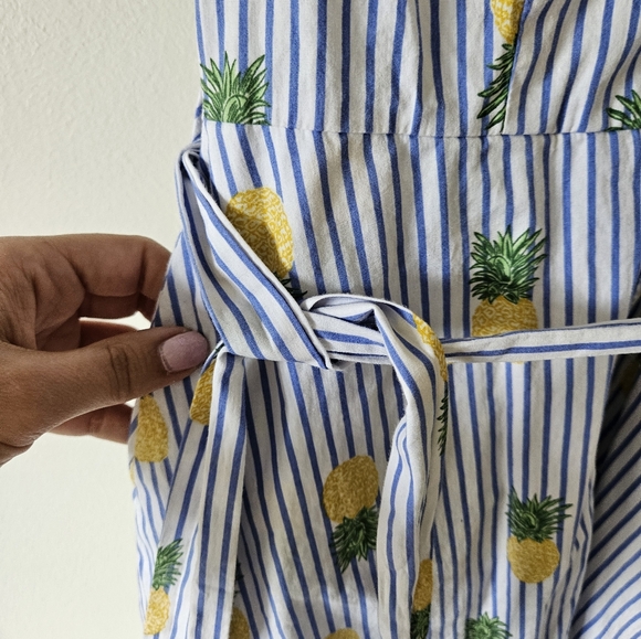 Chloe and Rene pinstriped pineapple button down dress - Picture 5 of 8